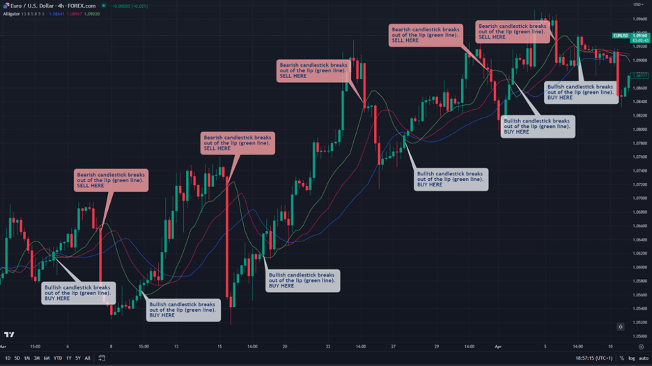 alligator breakout strategy