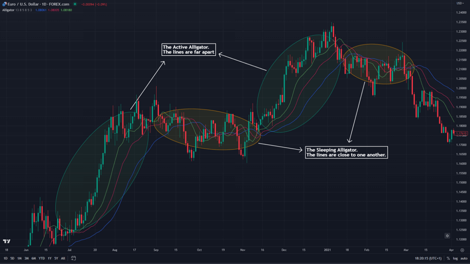 alligator indicator signals