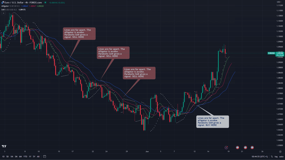 alligator indicator trend reversals and continuations