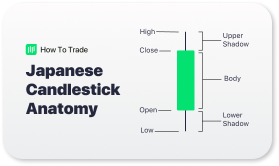 japanese candlestick anatomy