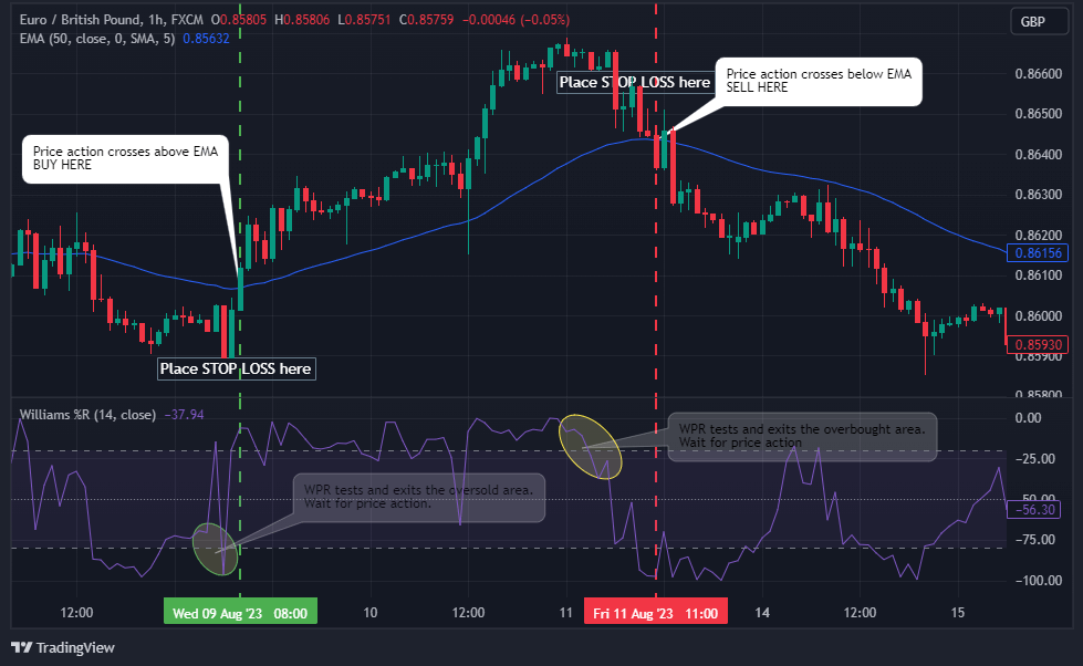 Williams Percentage Range With EMA Trading Strategy with stop loss